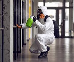 Lexington, OH Mold Prevention & Removal  Company